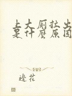 上大厕拉出血疼是什么原因