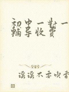 初中一对一上门辅导收费