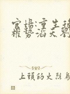 官场:重生后我权势滔天刘艳茹在线全文阅