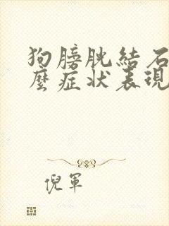 狗膀胱结石有什么症状表现