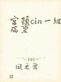 宫颈cin一级病变