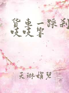 货车一踩刹车就吱吱响