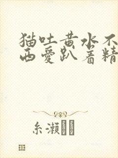 猫吐黄水不吃东西爱趴着精神不好