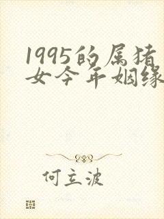 1995的属猪女今年姻缘怎样