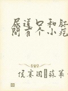 尿道口和肛门之间有个小疙瘩是怎么回事