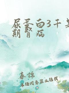 尿蛋白3千是几期肾病