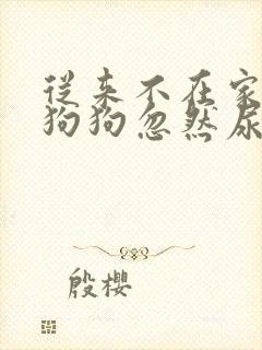 从来不在家尿的狗狗忽然尿了