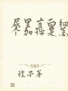 尿里有白细胞一个加号是怎么回事