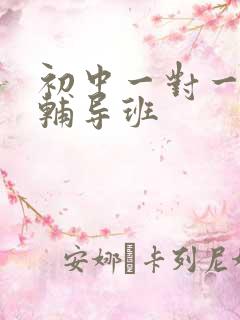 初中一对一地理辅导班