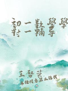 初一数学学习一对一辅导