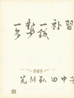 一对一补习班要多少钱