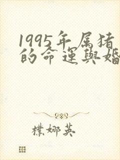 1995年属猪的命运与婚姻