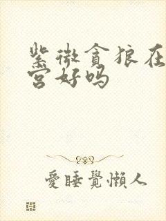 紫微贪狼在财帛宫好吗