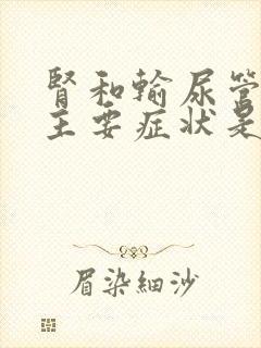 肾和输尿管结石主要症状是