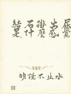 结石排出尿道口是什么感觉