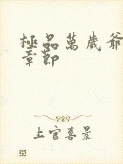 极品万岁爷全部章节