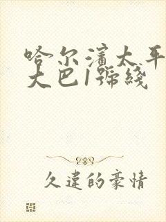 哈尔滨太平机场大巴1号线