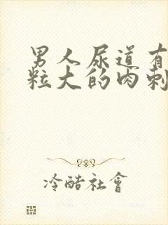 男人尿道有小米粒大的肉刺