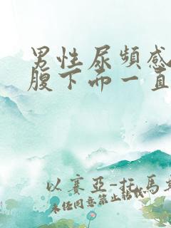 男性尿频感觉小腹下面一直有尿意