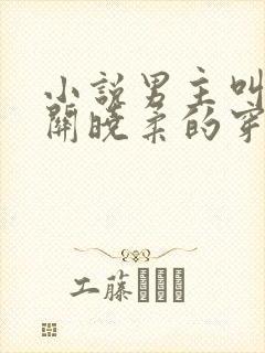 小说男主叫金峰关晓柔的穿越小说