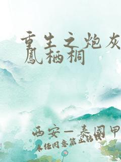 重生之炮灰逆袭 凤栖桐