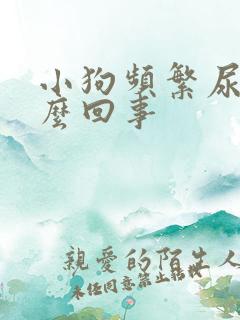 小狗频繁尿是怎么回事