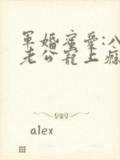 军婚蜜爱:八零老公宠上瘾