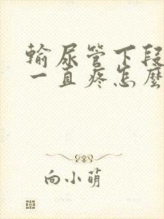 输尿管下段结石一直疼怎么办