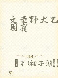 文豪野犬乙女向团宠