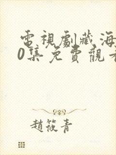 电视剧藏海传40集免费观看