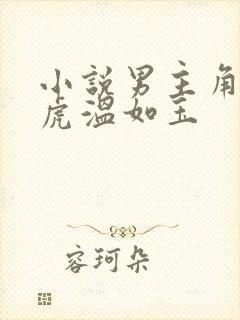 小说男主角贾二虎温如玉