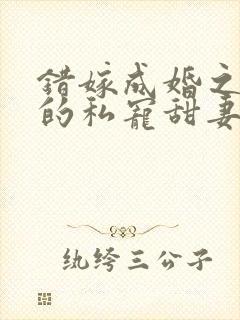 错嫁成婚之总裁的私宠甜妻在线阅读