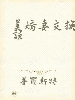 美娇妻交换性小说