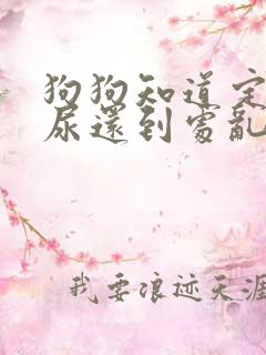 狗狗知道定点拉尿还到处乱拉