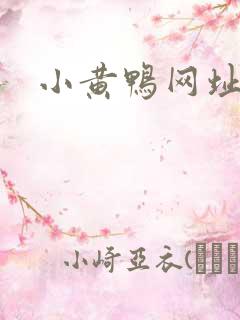 小黄鸭网址导航