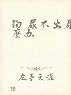 狗 尿不出尿怎么办