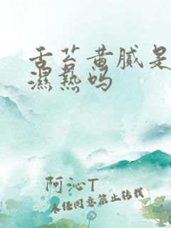 舌苔黄腻是脾胃湿热吗