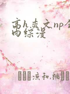 高h爽文np全肉综漫