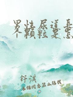 男性尿道长了一个颗粒是怎么回事