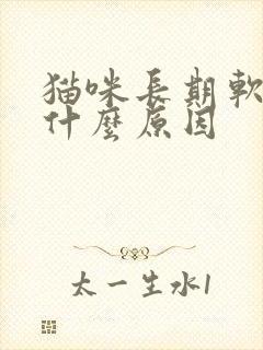 猫咪长期软便是什么原因