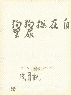 狗狗总在自己窝里尿