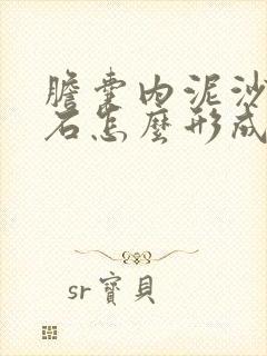 胆囊内泥沙样结石怎么形成的