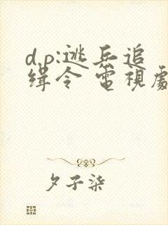 d.p:逃兵追缉令 电视剧免费观看