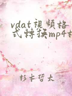 vdat视频格式转换mp4格式