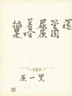 插着尿管还漏尿是啥原因