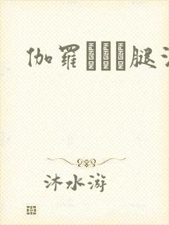 伽罗ちゃん腿法