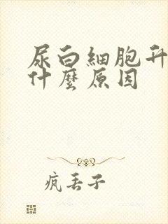 尿白细胞升高是什么原因