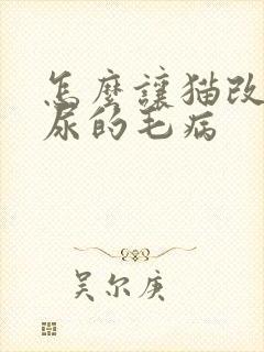 怎么让猫改掉乱尿的毛病