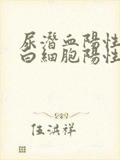 尿潜血阳性,尿白细胞阳性是咋回事