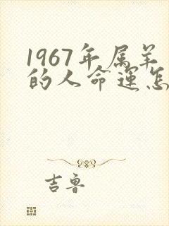 1967年属羊的人命运怎么样